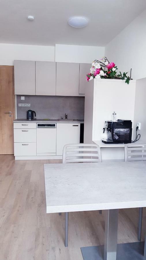Apartmany โดลนี โมราวา ภายนอก รูปภาพ