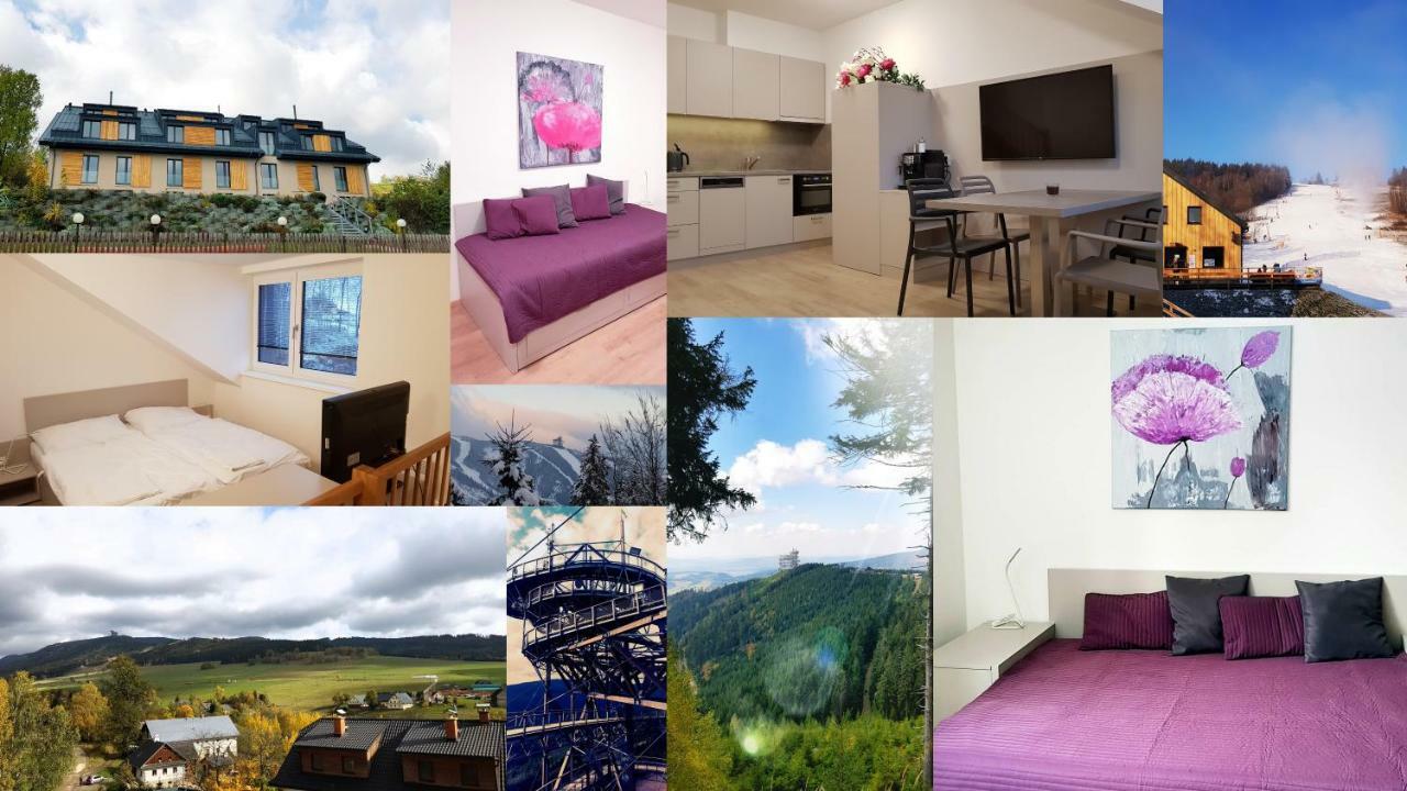 Apartmany โดลนี โมราวา ภายนอก รูปภาพ